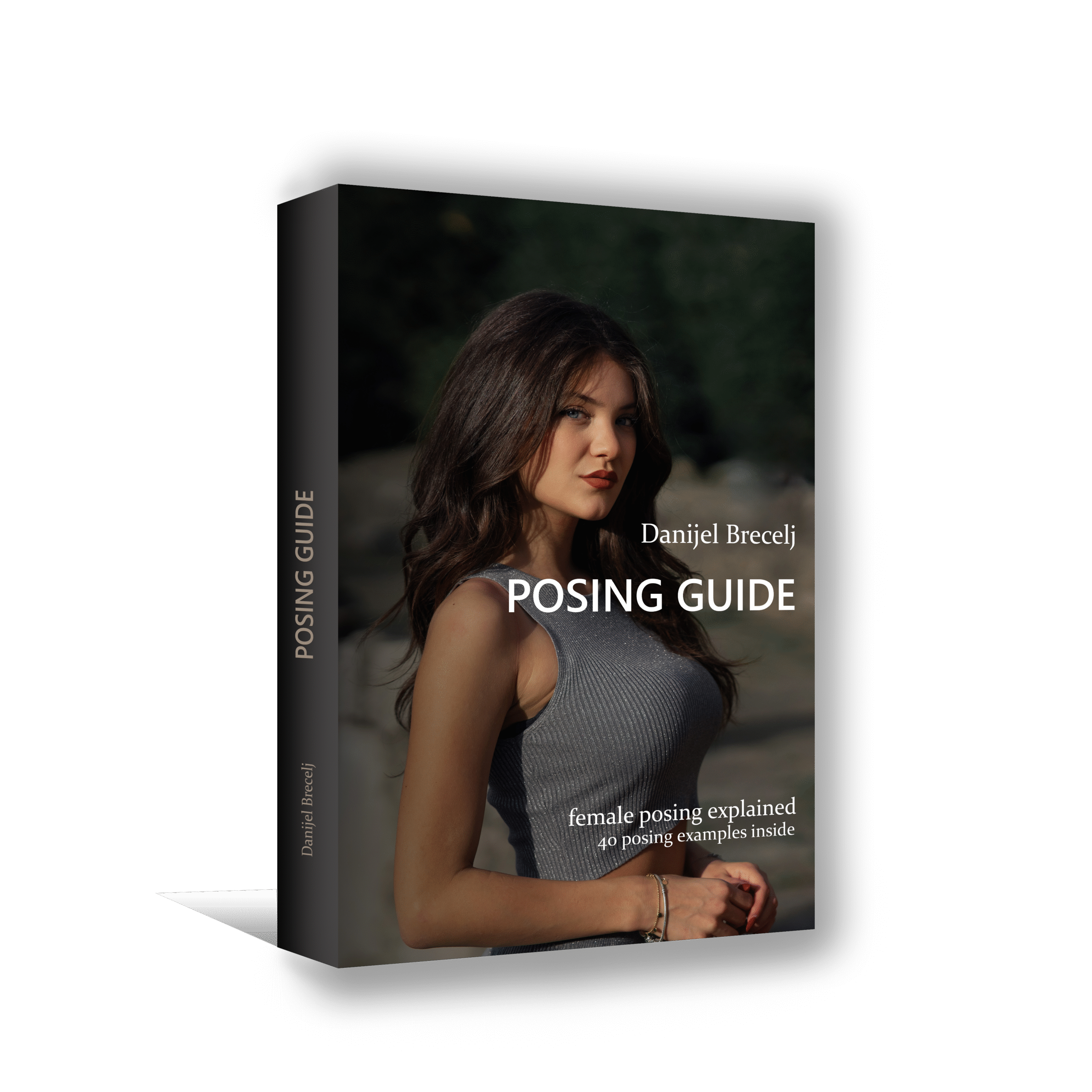 Posing guide